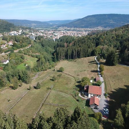 Chambre D'Hotes Kieffer Le Grand Bienfaisy Remiremont Esterno foto