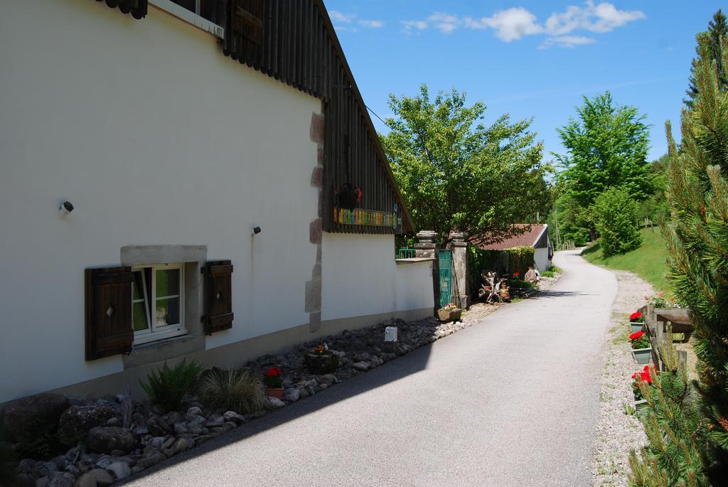 Chambre D'Hotes Kieffer Le Grand Bienfaisy Remiremont Esterno foto