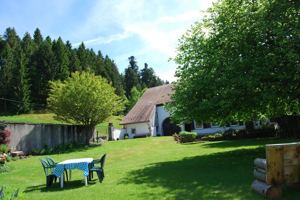 Chambre D'Hotes Kieffer Le Grand Bienfaisy Remiremont Esterno foto