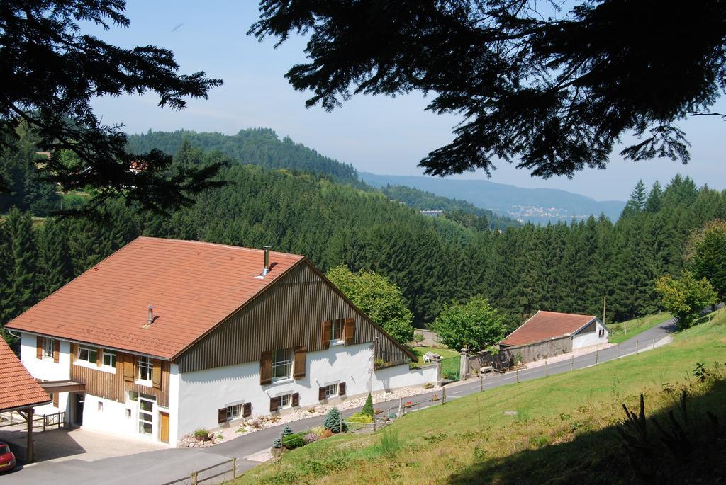 Chambre D'Hotes Kieffer Le Grand Bienfaisy Remiremont Esterno foto